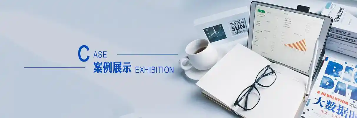 乐陵市软件开发